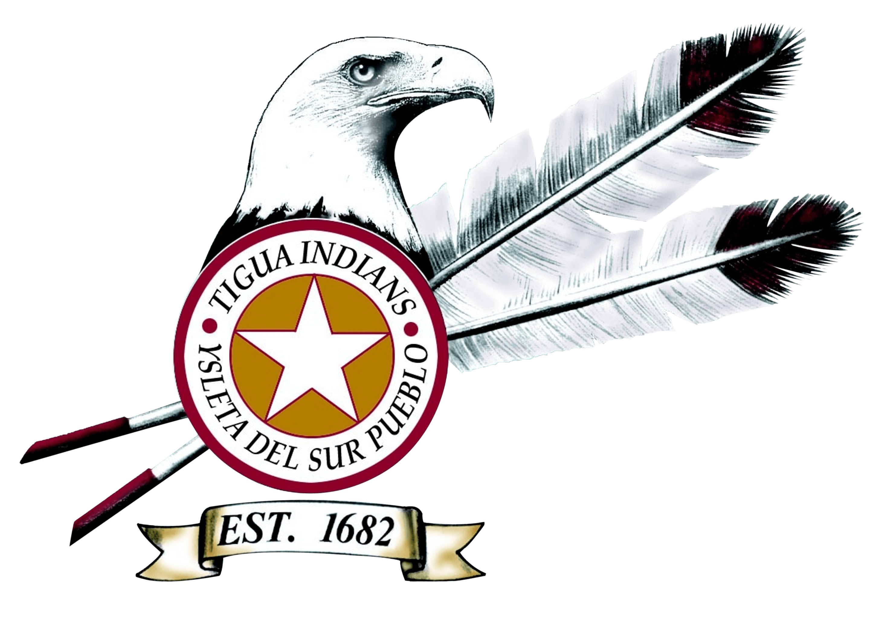 YDSP logo