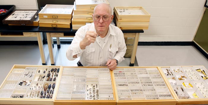 William Mackay, Ph.D. takes a closer look at one of his larger ant specimens 