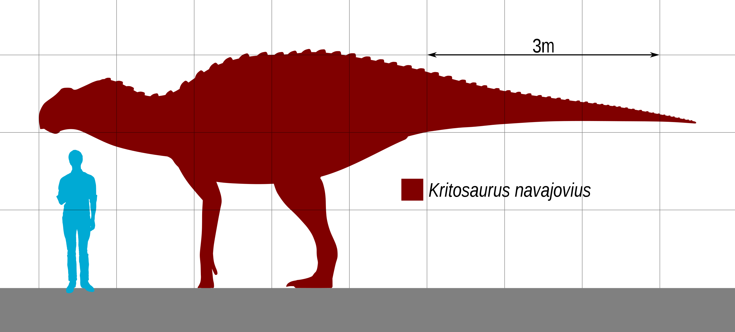 Kritosaurus_Scale.svg.png