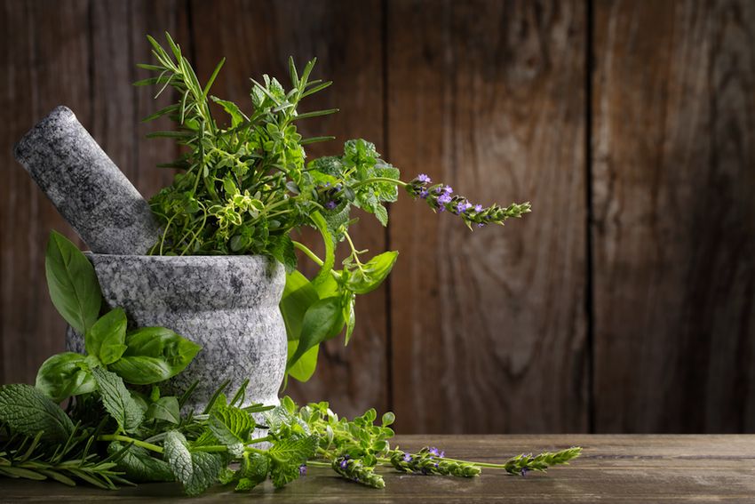 8-of-the-best-herbs-for-healing.jpg