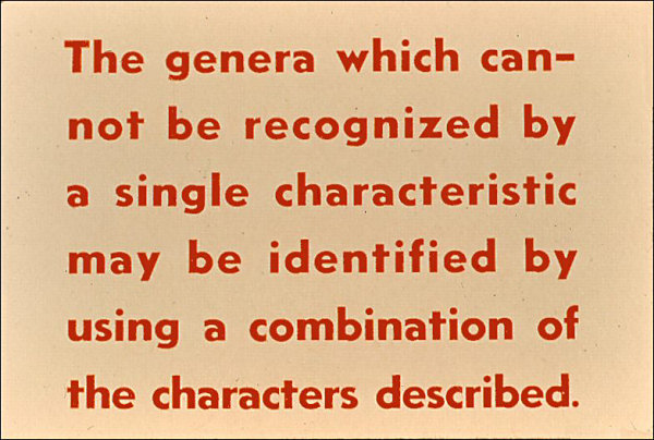 Label: The genera which cannot be recognized by a single characteristic may be identified by using a combination of the characters described