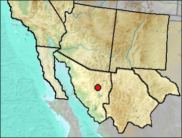 Pleistocene regional distribution of Anaxyrus/Incilius