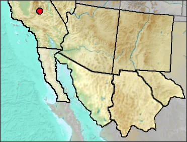 Regional Pleistocene distribution of Cygnus sp.