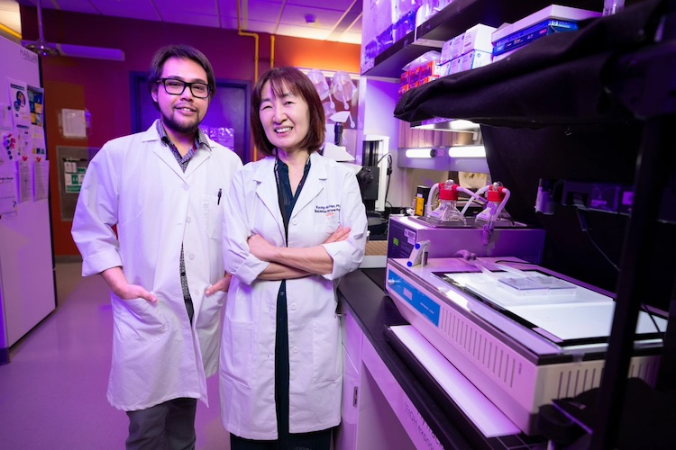 Photo Description” UTEP biologists Paul Sabandal, Ph.D., left, and Kyung-An Han, Ph.D., right, stand in the laboratory next to an experiment that exposed fruit flies to ethanol vapor. The experiment was created to replicate humans drinking in solitary versus group settings. The team has taken a key step in understanding the neurobiological process behind social drinking and how it boosts feelings of euphoria. Credit: The University of Texas at El Paso