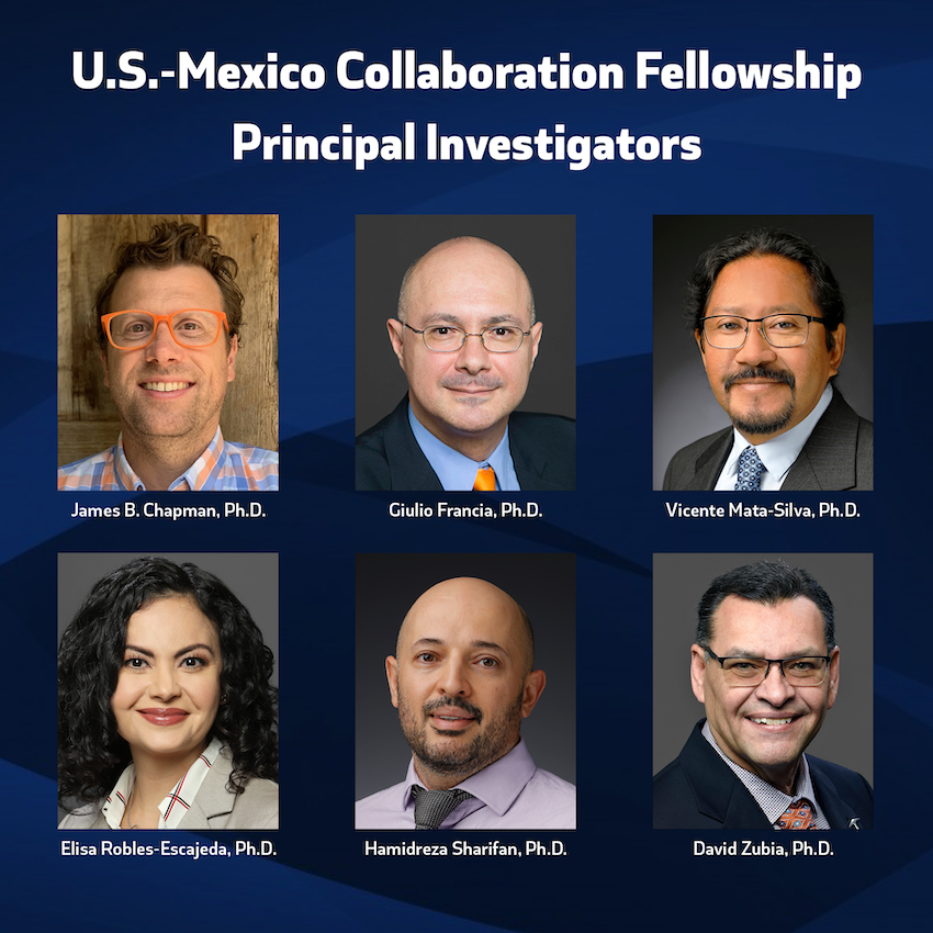 UTEP has announced six new research projects that will receive funding from the U.S.-Mexico Collaboration Fellowship, a program that aims to strengthen relationships between researchers on both sides of the border and, ultimately, foster academic work that benefits the entire Paso del Norte region. The principal investigators of the newly funded projects are (clockwise from top left): James B. Chapman, Ph.D., assistant professor, Department of Earth, Environmental and Resource Sciences; Giulio Francia, Ph.D., associate professor, Department of Biological Sciences; Vicente Mata-Silva, Ph.D., assistant professor, Department of Biological Sciences; David Zubia, Ph.D., professor, Department of Electrical and Computer Engineering; Hamidreza Sharifan, Ph.D., assistant professor, Department of Chemistry and Biochemistry; and Elisa Robles-Escajeda, Ph.D., assistant professor of research, Department of Biological Sciences. 