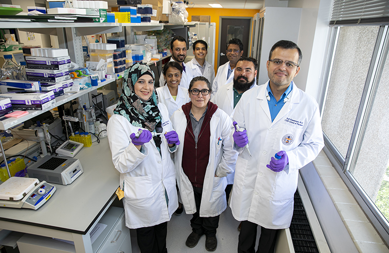 UTEP faculty members Fatima Z. Alshbool, Pharm.D., Ph.D., left foreground, and Fadi Khasawneh, B.Pharm., Ph.D, right foreground, are joined by research team members Keziah Hernandez, center; middle row from left, Rina Koyani, Ph.D., and Victor Rodriguez; back row from left, Ahmed Alarabi, Jean Montes Ramirez and Zubair Karim, Ph.D. Photo: J.R. Hernandez / UTEP Communications 