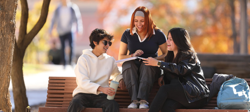 grants and student employment