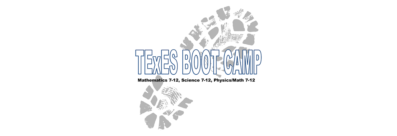 TExES-Boot-Camp-Image-Website.png
