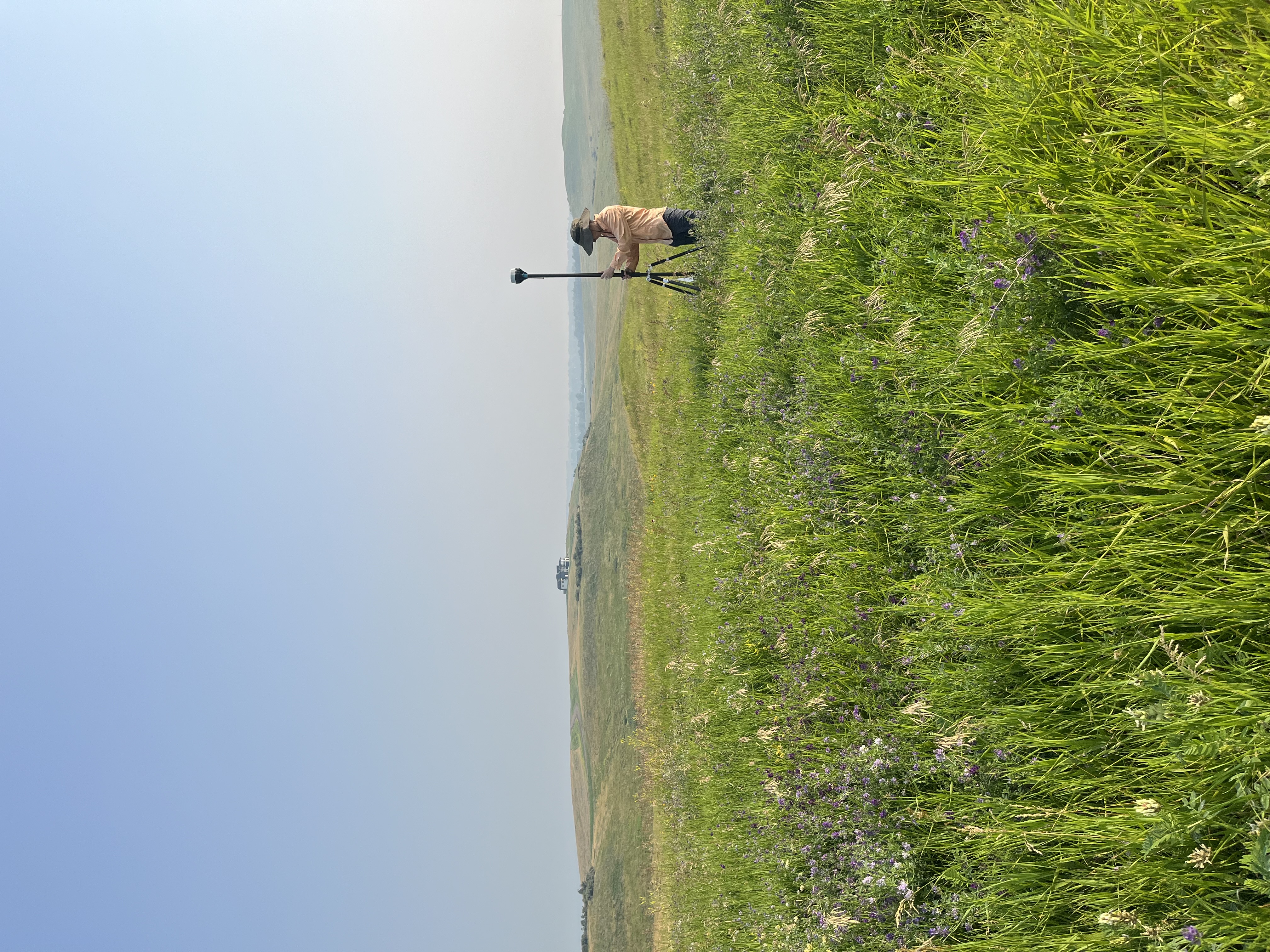 IMG_7345-1.jpg