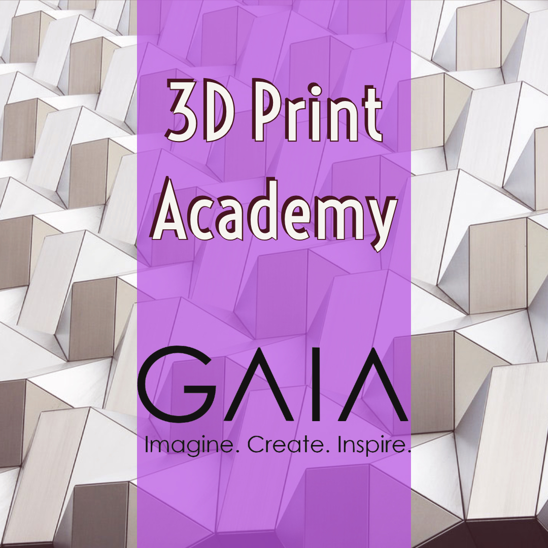 3D Print Academy Logo